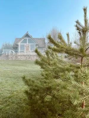 a house with a pine tree in front of it at HYTTE - Cozy Stay For Families & Friends in Jagėlonys Kalniniai