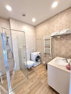 a bathroom with a shower and a toilet and a sink at ALEGRE apartment in Druskininkai