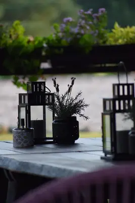 a table with three candles and a potted plant on it at Kaimo turizmo sodyba Geras in Leliūnai