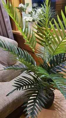 a couple of plants sitting on a table at Kaimo turizmo sodyba Geras in Leliūnai