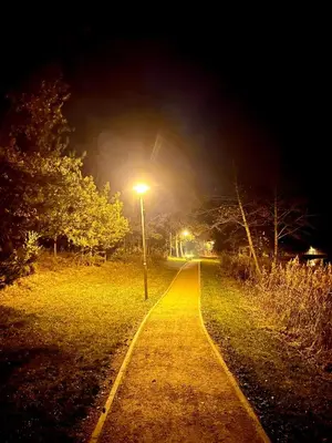 a street light on the side of a road at night at Namelis Strazdas in Molėtai