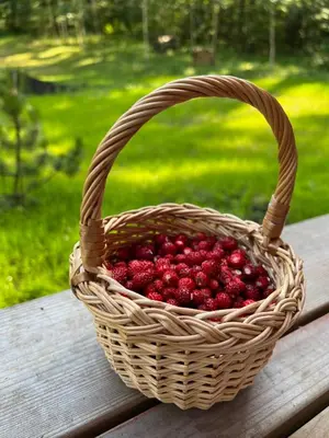 a basket of red berries sitting on a picnic table at Namelis Strazdas in Molėtai