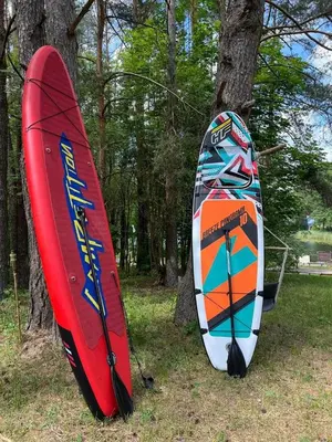 two surfboards are standing next to a tree at Namelis Strazdas in Molėtai
