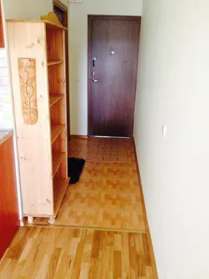 a hallway with a door and a wooden floor at A Cozy Central Studio in Druskininkai
