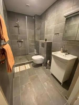 a bathroom with a toilet and a sink and a shower at Perlos Apartamentai 3 in Birštonas