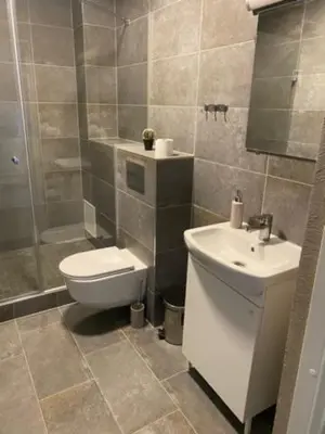 a bathroom with a toilet and a sink and a shower at Perlos Apartamentai 3 in Birštonas