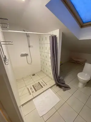 a bathroom with a shower and a toilet at Perlos Apartamentai 14 in Birštonas