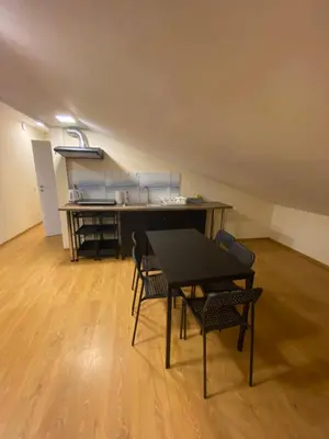 a room with a table and chairs and a kitchen at Perlos Apartamentai 14 in Birštonas