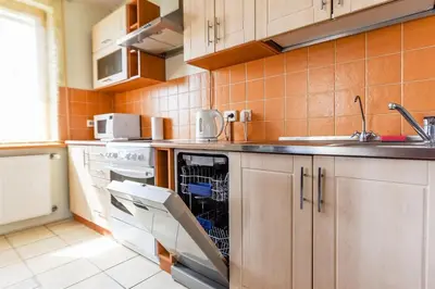 a kitchen with a dishwasher and a sink at Birutes Houses in Druskininkai