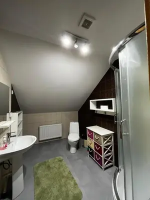 a bathroom with a sink and a toilet at Homestead Miško Vingis