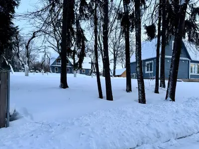 a yard covered in snow with trees and a house at Maple House - Sodyba Tarp Klevų in Utena