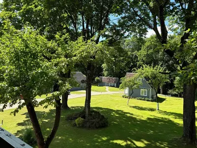 a view of a yard with trees and a house at Maple House - Sodyba Tarp Klevų in Utena