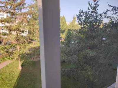 a window with a view of a yard with trees at ShortStopPasilaiciai in Vilnius