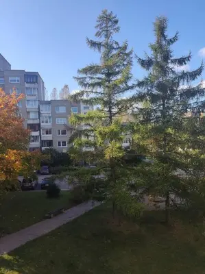 two trees in a park in front of a building at ShortStopPasilaiciai in Vilnius