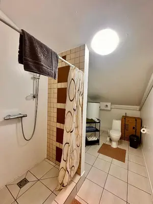 a bathroom with a shower curtain and a toilet at Perlos Apartamentai 13 in Birštonas