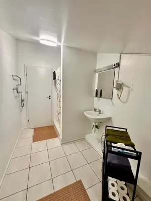 a bathroom with a sink and a shower with a mirror at Perlos Apartamentai 13 in Birštonas