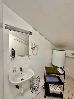 a bathroom with a sink and a mirror at Perlos Apartamentai 13 in Birštonas
