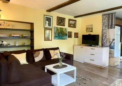 a living room with a couch and a tv at Cosy studio apartment with the garden in Druskininkai