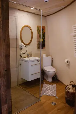 a bathroom with a toilet and a glass shower stall at Kupolinis namelis in Kilova II