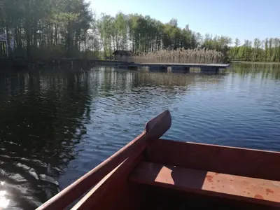 a boat on a lake with an elephant in the background at Lakeshore house in Dvarčėnai