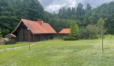 a log cabin in a field next to a forest at Forest House in Pašvinės