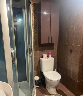 a small bathroom with a toilet and a shower at Forest House in Pašvinės