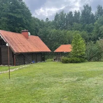 Forest House