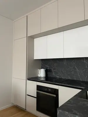 a kitchen with white cabinets and a black appliance at Dineikos apartamentai in Druskininkai