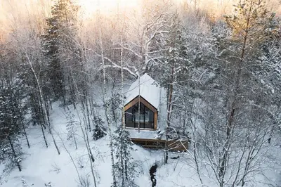 a small cabin in the woods in the snow at Forestic Lietuva in Vilionys