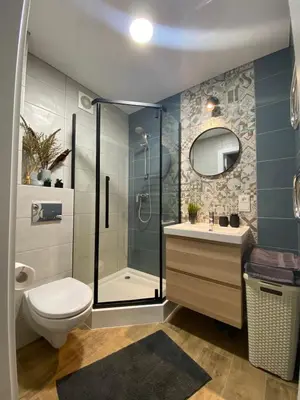 a bathroom with a shower and a toilet and a sink at Alyvų tako studija in Alytus