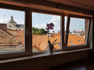 a window with a flower in a vase on a window sill at Meshka's Apartment in Vilnius
