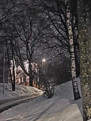 a snow covered street with trees and a street light at Jeruzale Park view in Vilnius