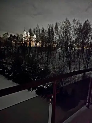 a view of a building in the distance with trees at Jeruzale Park view in Vilnius
