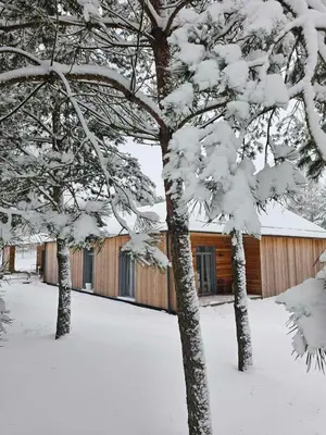 two trees covered in snow in front of a house at Miško Santorija in Ažuluokesa