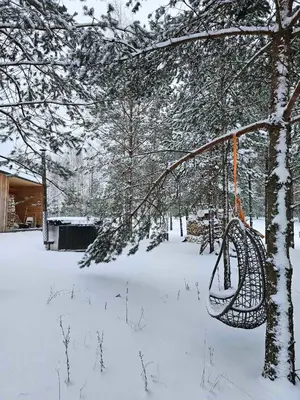 a swing hanging from a tree in the snow at Miško Santorija in Ažuluokesa