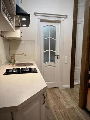 a kitchen with a stove and a sink and a door at Noble Apartments in Vilnius