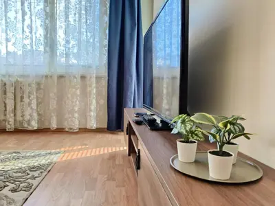 a living room with a tv and two potted plants at Musninkų apartment near Akropolis in Vilnius