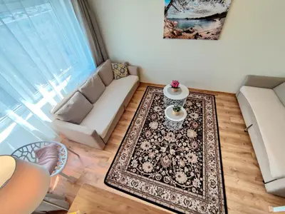 a living room with a couch and a rug at Musninkų apartment near Akropolis in Vilnius