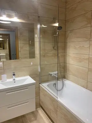 a bathroom with a shower and a sink and a tub at Near Ozas in Vilnius