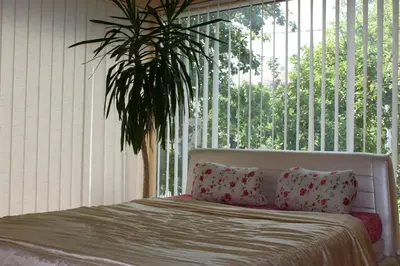 a bedroom with a bed with a plant in front of a window at Jauku Erdvu Šilta in Kaunas