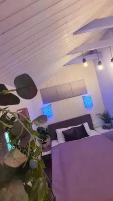 a bedroom with a purple bed and a plant at Violetinis namelis/ Sodyba Geras in Anykščiai