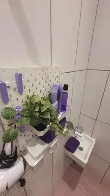 a bathroom with a potted plant on a shelf at Violetinis namelis/ Sodyba Geras in Anykščiai
