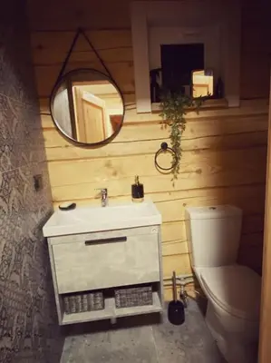 a bathroom with a sink and a toilet and a mirror at Sodyba vienkiemyje 