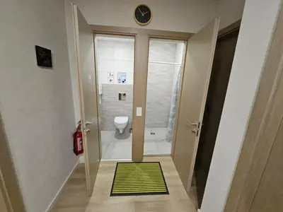 a bathroom with a toilet and a green rug at Kauno Apartamentai in Kaunas