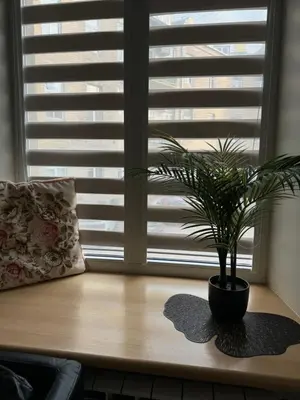 a plant sitting on a table in front of a window at Modern city centre apartment in Vilnius