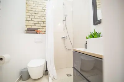a bathroom with a toilet and a shower at Lukiskes square apartment (Oldtown) in Vilnius