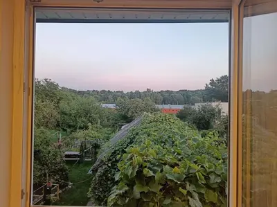 a window view of a garden with a greenhouse at Spacious Apartment Panemune in Kaunas
