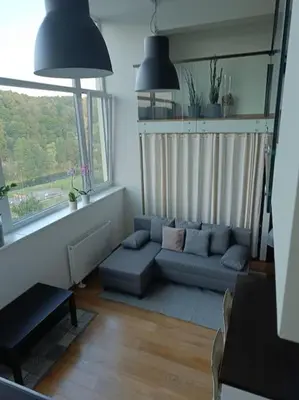 a living room with a couch and a window at River Vilnele View Studio in Vilnius