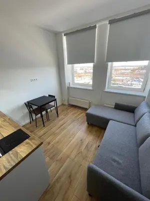 a living room with a couch and a table at 25 Airport Apartment in Vilnius