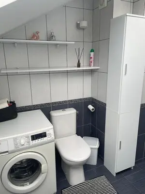 a bathroom with a toilet and a washing machine at Apartamentai prie Seimo in Vilnius